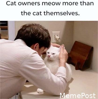 Me_IRL: Hilarious Relatable Memes That Capture Everyday Life & Why We All Relate