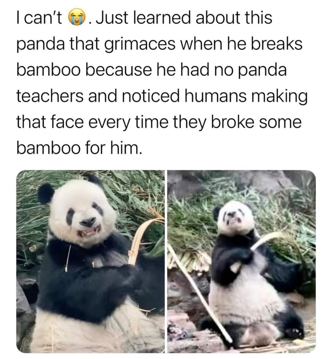 Me_irL: Hilarious Relatable Memes That Capture Everyday Life and Struggles!